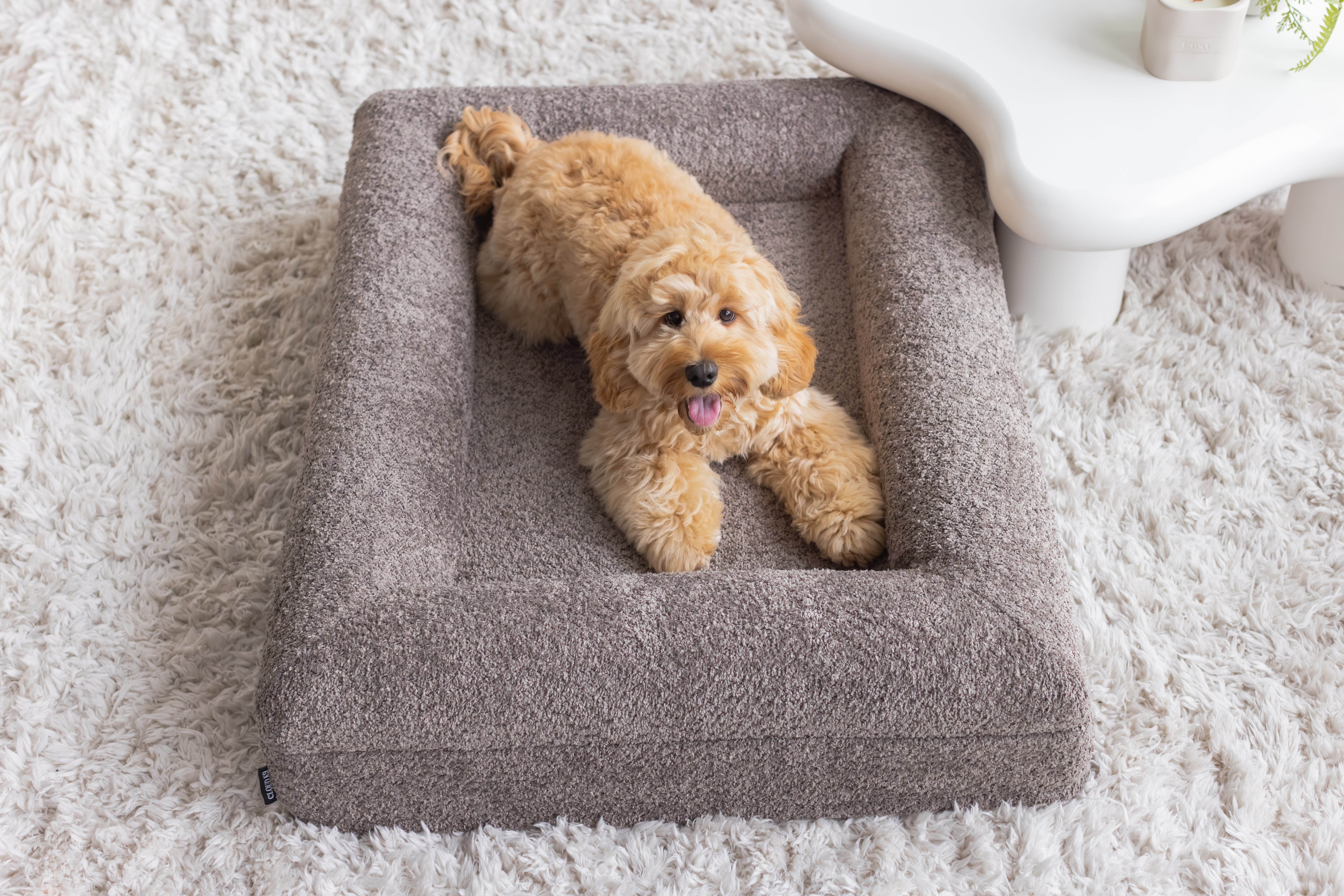 The Cloud K9 Orthopaedic Dog Bed
